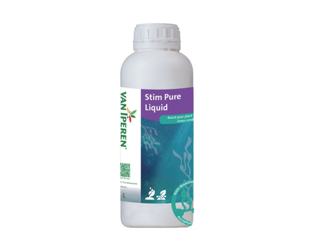 Stim Pure